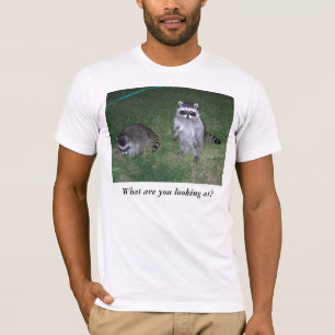 What are you looking at?  Racoon T-shirt