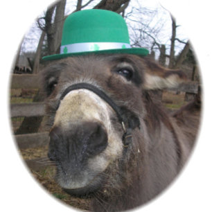 "What Are You Looking At?" T-Shirt