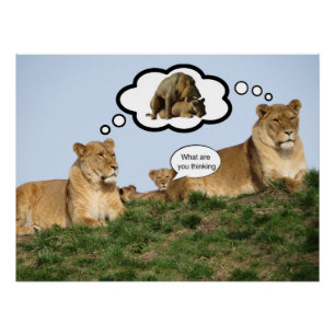 What are you thinking? poster