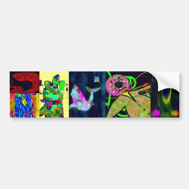 What are you trying to say here? bumper sticker (Front)