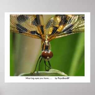 What big eyes you have......    ... poster