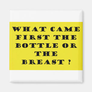 What came first magnet