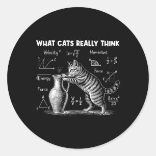 What Cats Really Think Funny Cat Physics Science T Classic Round Sticker