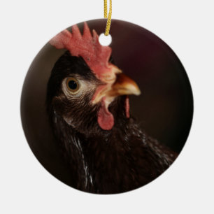 What? Ceramic Ornament