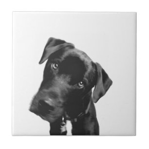 What? Ceramic Tile