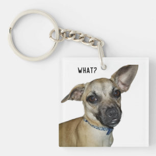 "What?" Chihuahua and Pug Breed Puppy Dog Key Ring
