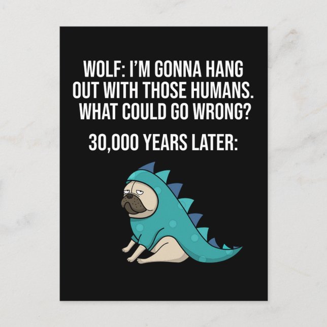 What Could Go Wrong Funny Wolf Pug Dog Meme Postcard (Front)