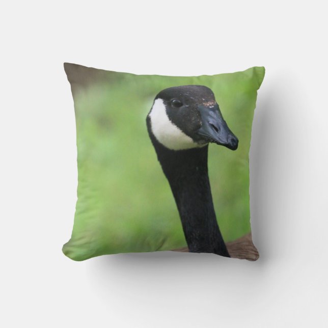 What? Cushion (Front)