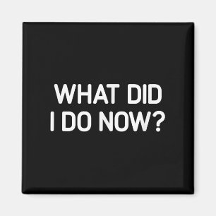 What Did I Do Now, Funny, Jokes, Sarcastic Magnet