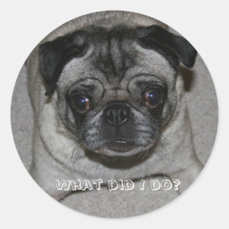 What did I do? sticker