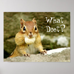 What Diet? Chipmunk Poster