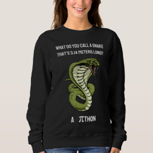 What Do You Call A Snake Thatu2019s 3 14 Metres Lo Sweatshirt