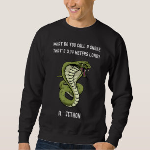 What Do You Call A Snake Thatu2019s 3 14 Metres Lo Sweatshirt