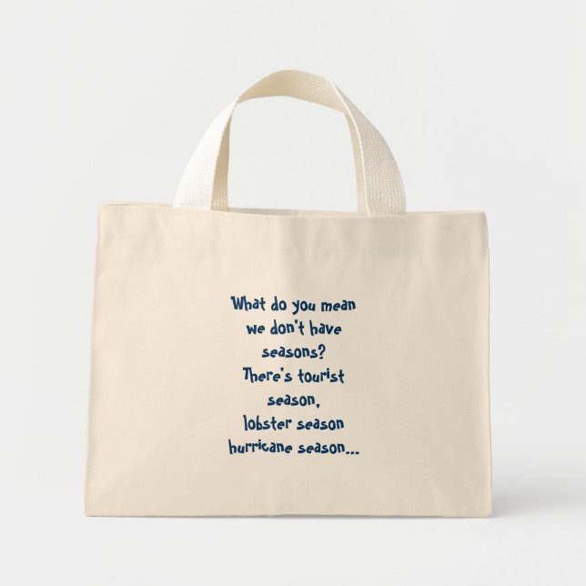 What do you mean we don't have seasons? mini tote bag (Front)