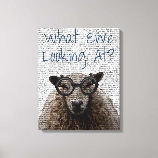 What Ewe Looking At Canvas Print (Front)