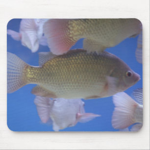 What for Dinner? Mouse Pad