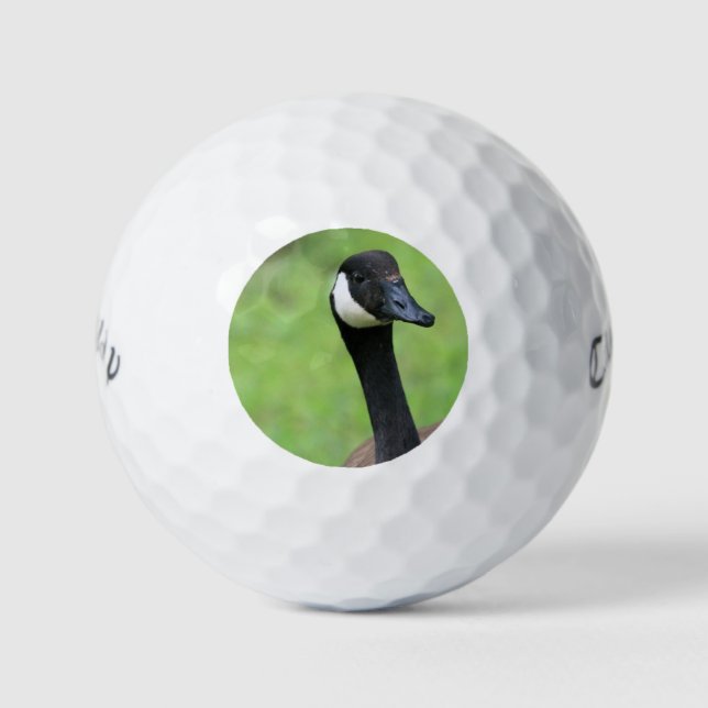 What? Golf Balls (Front)