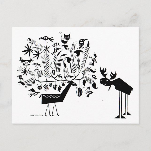 What happened to you?? postcard (Front)