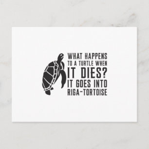 What Happens To A Turtle Lover Turtles Sea Gift Postcard