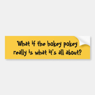 What if the hokey pokeyreally is what it's all ... bumper sticker