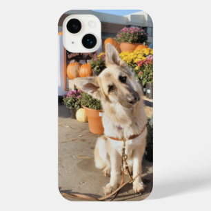 What iPhone 14 Plus Case