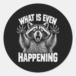 What Is Even Happening Funny Racoon Meme Classic Round Sticker