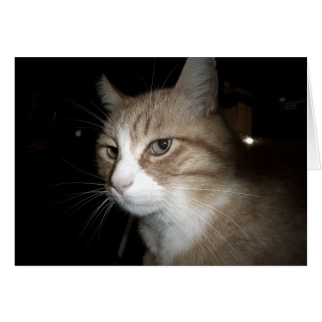 What is he thinking? (Front Horizontal)