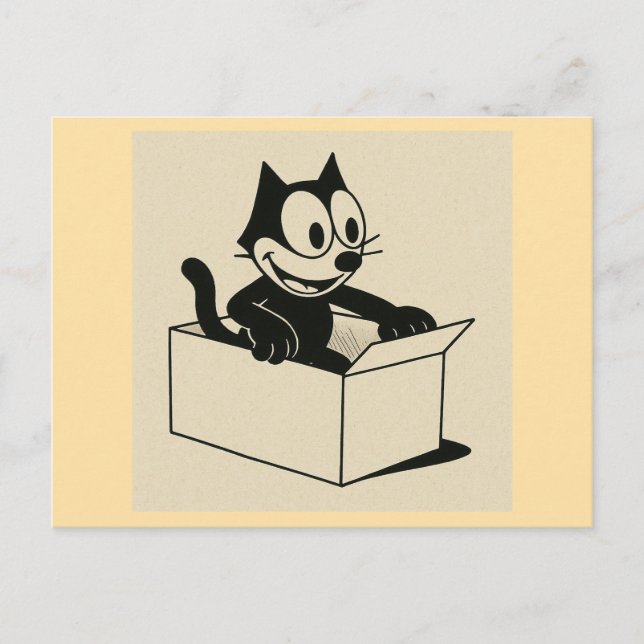 What Is It With CATS And BOXES?! Postcard (Front)
