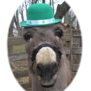 "What is the Big Deal?" Wrapping Paper