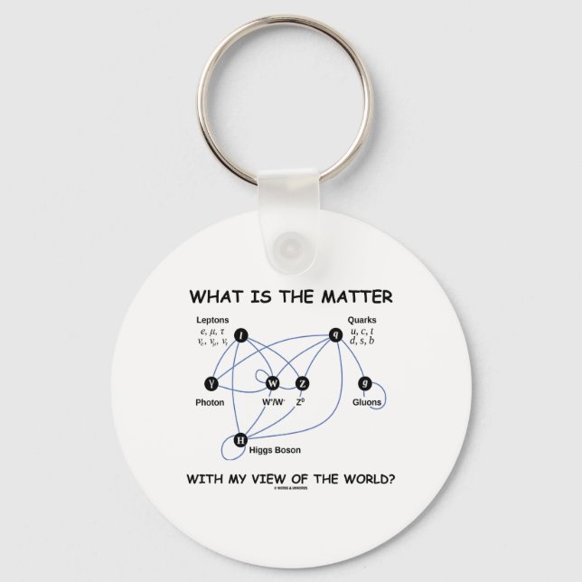 What Is The Matter With My View Of The World? Key Ring (Front)