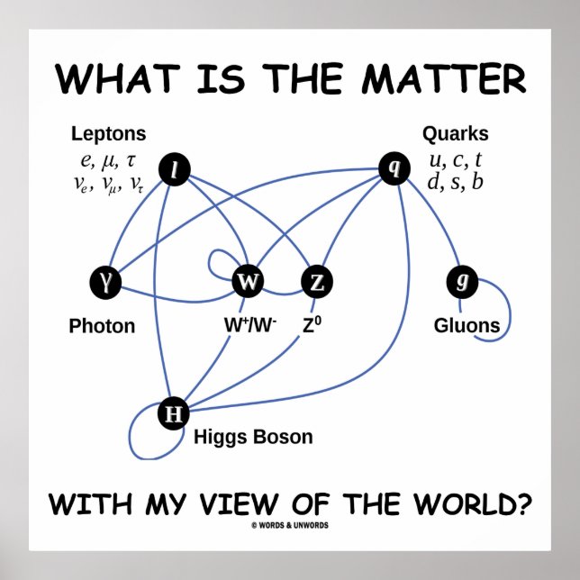 What Is The Matter With My View Of The World? Poster (Front)