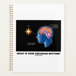 What Is Your Circadian Rhythm? Planner