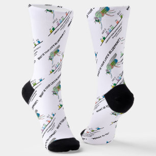 What Is Your Life's Blueprint? Drosophila Biology Socks