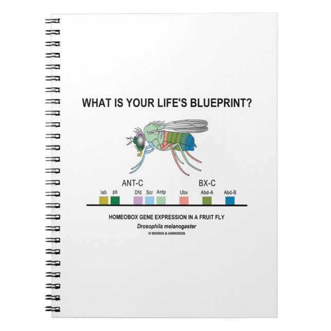 What Is Your Life's Blueprint? (Gene Expression) Notebook (Front)