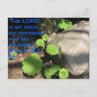 What Lies Beneath the Rocks Postcard