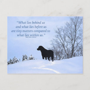 What Lies Within Us- Motivational Quote- Black Lab Postcard