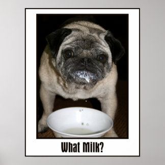 What Milk? Poster