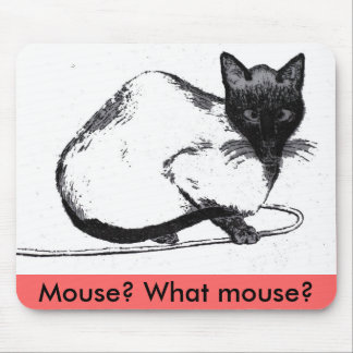 What Mouse Mat