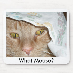 What Mouse/Orange Tabby Cat Humour Mouse Pad