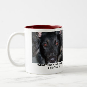 What?! Mug