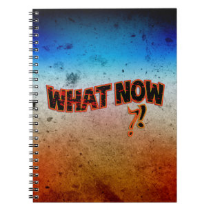 What Now ?! Notebook
