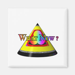 What Now? Question Magnet