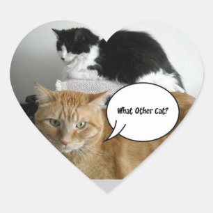 What Other Cat?/Orange Tabby Humour Heart Sticker