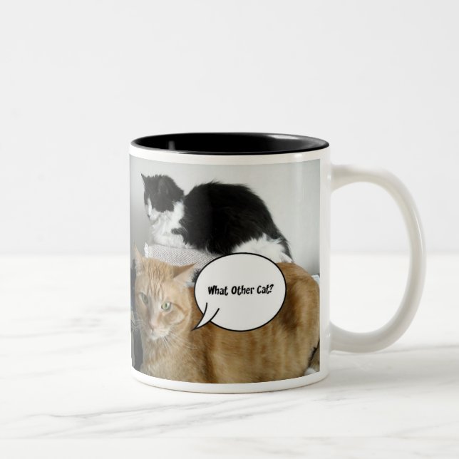 What Other Cat?/Orange Tabby Humour Two-Tone Coffee Mug (Right)