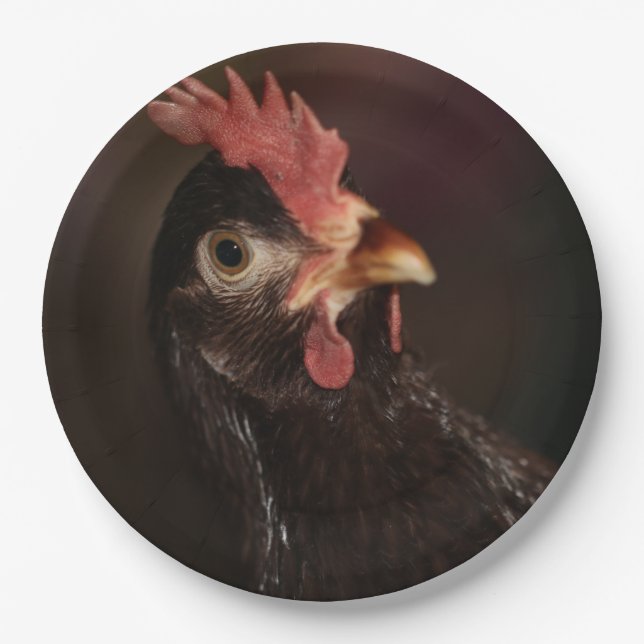 What? Paper Plate (Front)