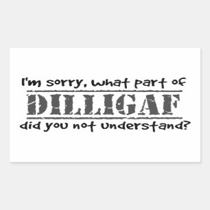 What part of DILLIGAF did you not understand? Rectangular Sticker