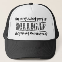 What part of DILLIGAF did you not understand?