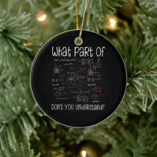 What Part Of Equations Don't You Understand Math Ceramic Ornament