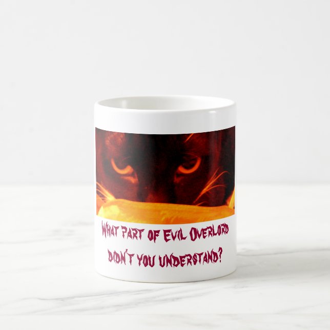 What part of Evil Overlord didn't you understand? Coffee Mug (Center)