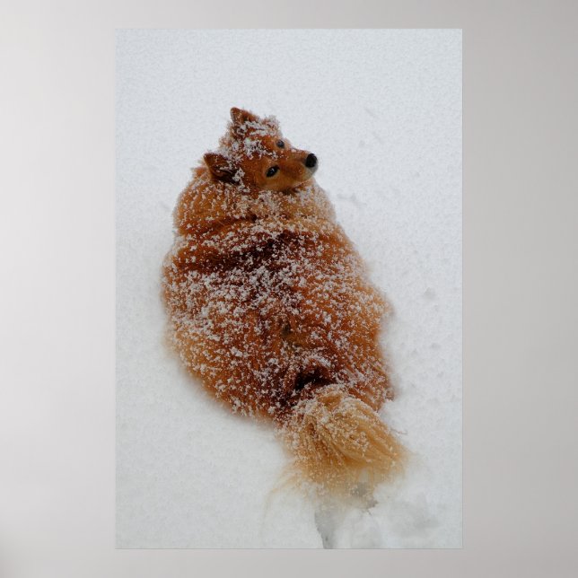 'What???' Poster (Front)